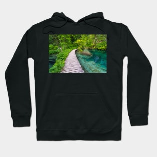 The path in the water Hoodie